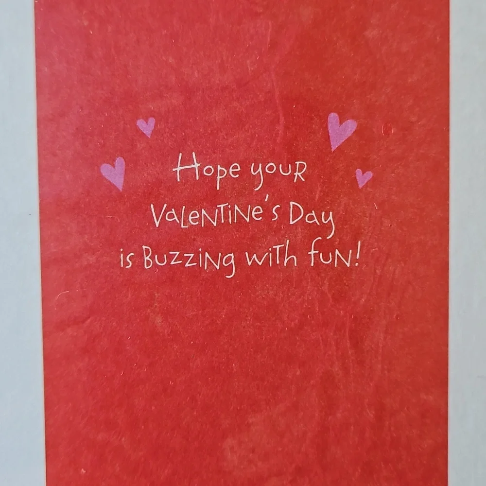 VALENTINE'S DAY CARDS